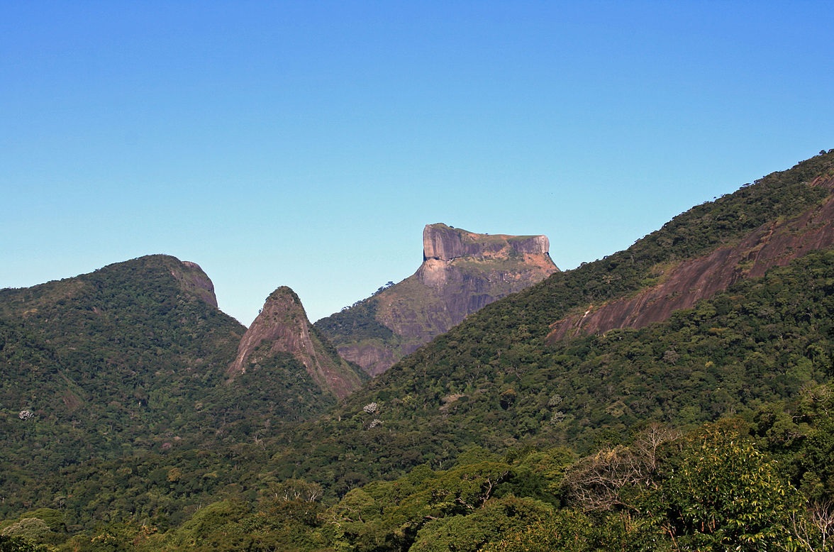 La forêt du Parc Tijuca.