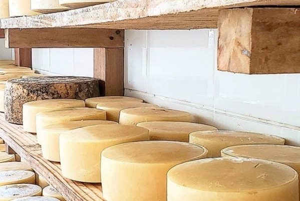 Etagère de fromages du Minas Gerais au Brésil. 