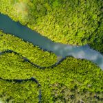 Rivière Amazone vue du ciel