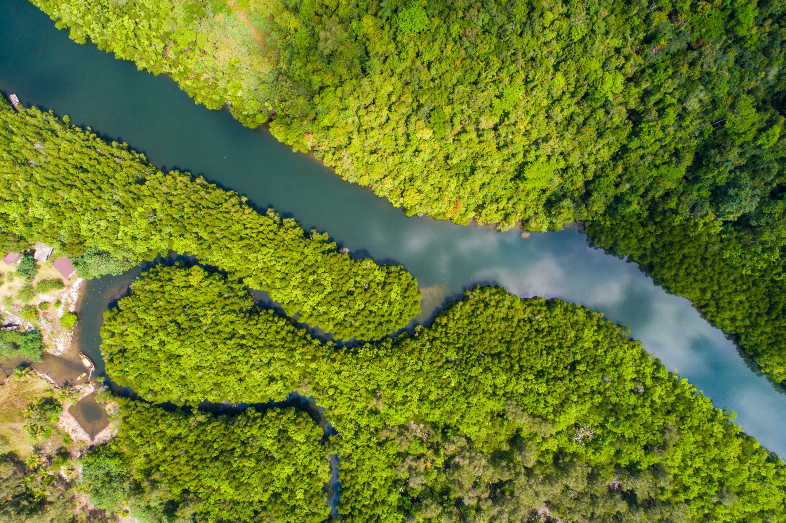 Rivière Amazone vue du ciel