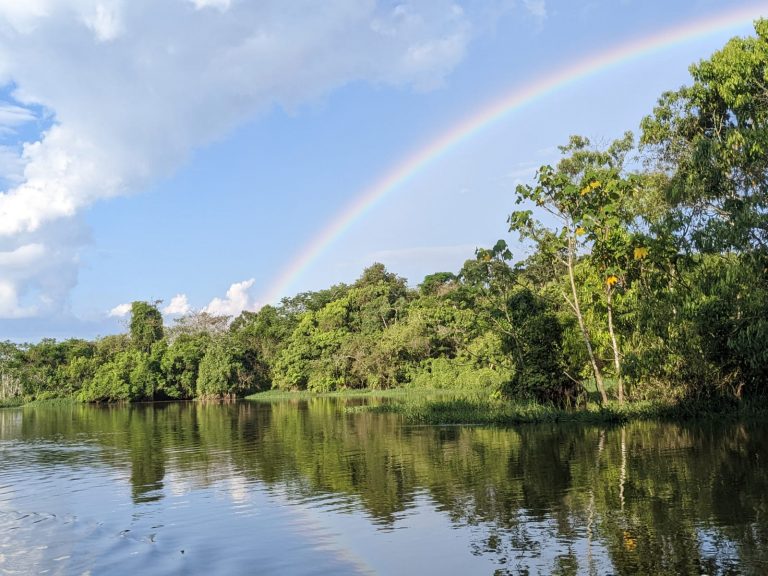 croisière tucano amazonie brésil