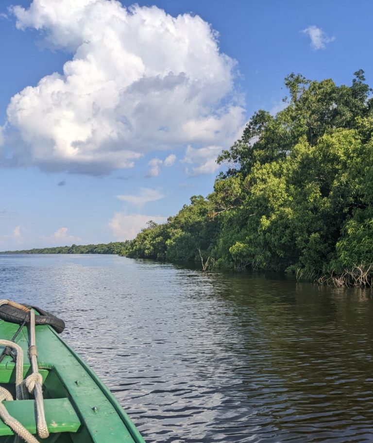 croisière tucano amazonie brésil