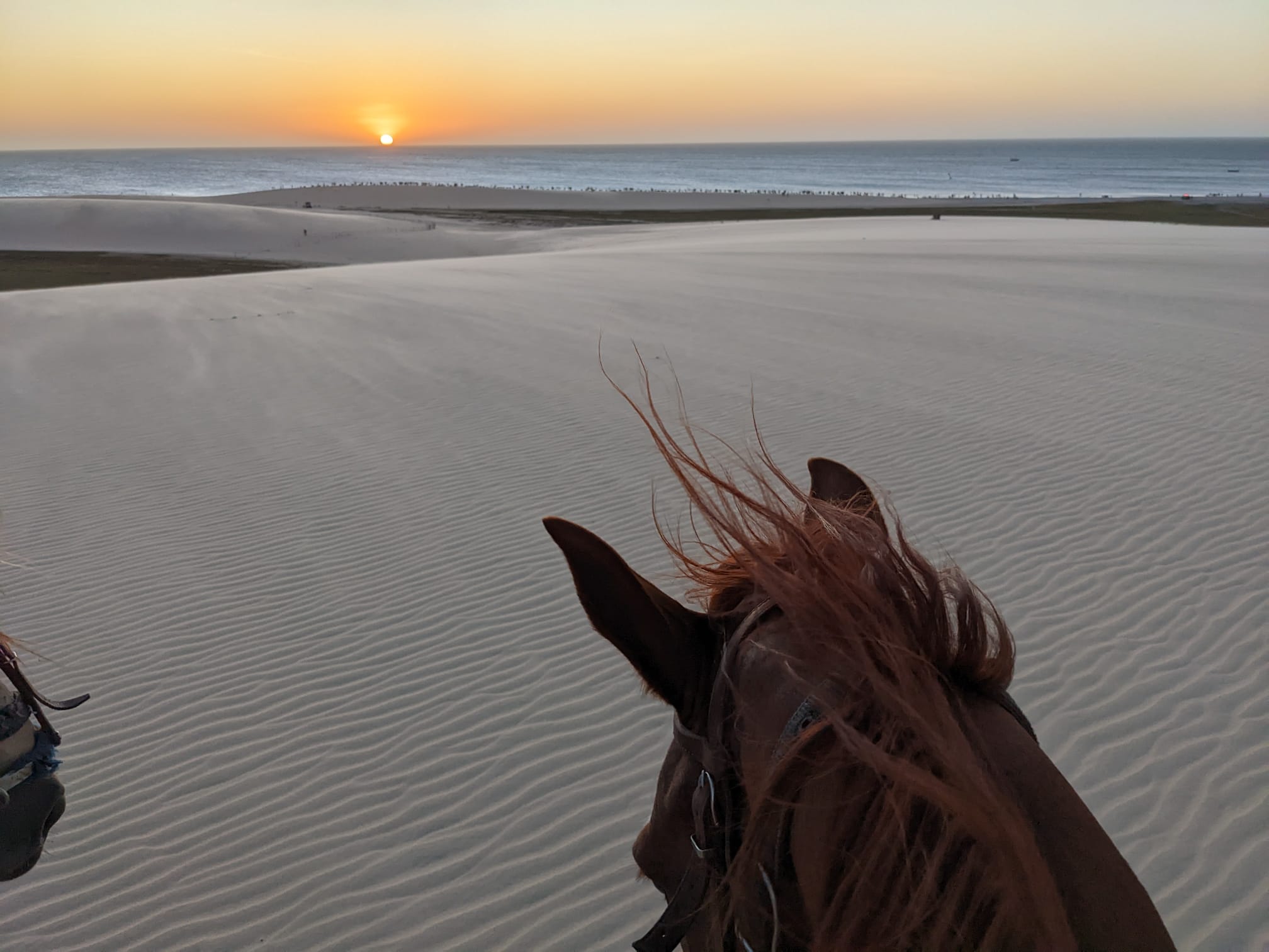 balade à cheval sur les plages de Jericoacoara