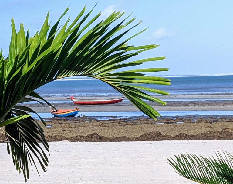 plage de Jericoacoara dans le Ceara du Brésil