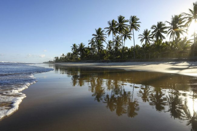 Nordeste du Brésil