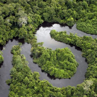 région amazonienne brésil