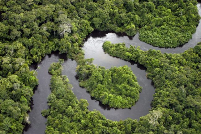 région amazonienne brésil