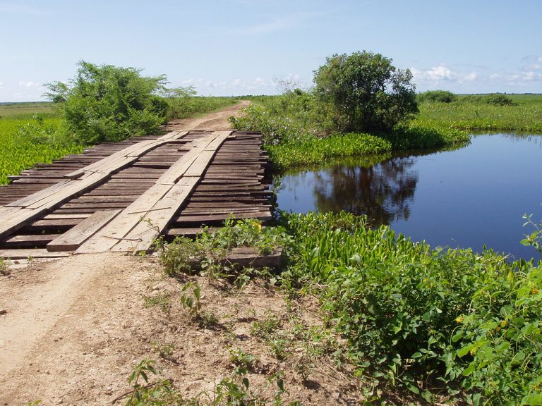 La piste de la Transpantaneira dans le Pantanal