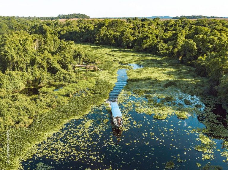 fleuve dans le Pantanal sud