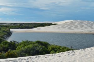 Un lagon à Barreirinhas dans le Nordeste du Brésil