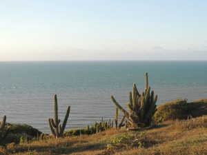 Le littoral de Jericoacoara