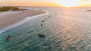 La plage du Coqueiro dans le Delta de Parnaiba